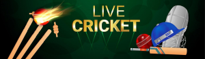 Cricket Betting Made Easy: The Top Platforms for Placing Bets with Tips and Strategies