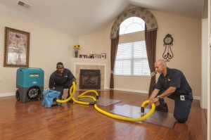 A Comprehensive Guide to Restoration Cleanup Services: Restoring Your Property After Disaster Strikes