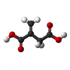 From Biomass to Bioproducts: Itaconic Acid as a Renewable Feedstock 