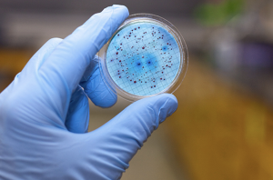 Antimicrobial Coatings Market Size and Growth Prospects: A Deep Dive Analysis