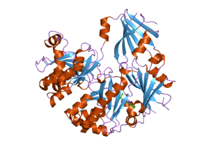 Biocatalyst Market Will Reach USD 925.2 Million by 2030 