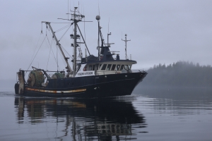 The Ultimate Guide to Living Like a Local in Ucluelet with the Perfect Vacation Rental!