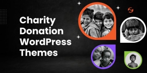 Explore Charity Donation WordPress Themes For Your Business