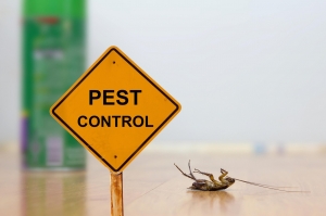 What Are Some Lesser-Known Pest Control Tips and Tricks for Dealing with Specific Types of Pests?