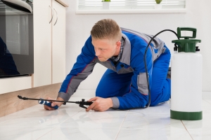 TOP 10 BEST Pest Control Services in USA