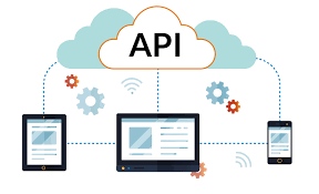 What are the key elements of API information? 