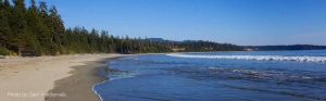 Revealed: The Untold Truths Behind Tofino & Ucluelet Vacation Rentals