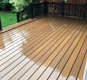 Don't Get Board! Choosing the Right Deck Material: A Pro's Guide