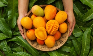 ENJOY SUMMERS WITH MANGOES — 10 POPULAR MANGO VARIETIES TO TRY IN 2024