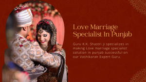 Love Marriage Specialist In Punjab