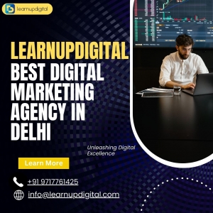 Learnupdigital is the best digital marketing agency in Delhi 