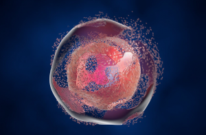 Cell Lysis Market Segmentation, Application, Trends, Opportunity Forecast 2030 