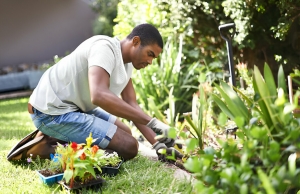 The Essential Guide to Starting Your Journey as a Professional Gardener