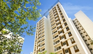 5 Reasons Young Professionals are Looking for Apartments in Bangalore