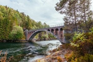 Find Peace in Solitude: Unplugged Wilderness Retreats for a Digital Detox
