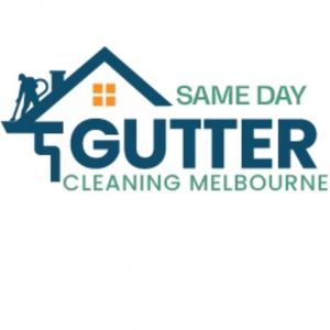 DIY vs. Professional Gutter Cleaning: Which Is Right for You?