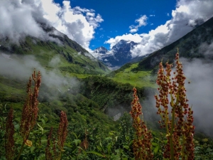 To Do List on Valley of Flower trek 