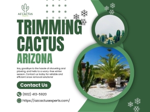 Step-by-Step Guide to Trimming Cactus for Beginners in Arizona