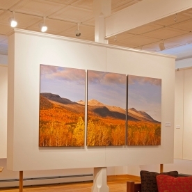 Why Choose Panoramic Mounted Prints: Elevating Your Décor with Wide-Angle Views