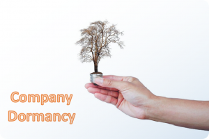 A Guide to Company Dormancy in the UK