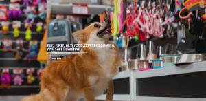 Pet Luxe Boutique & Spa –Pet Shop & Grooming service