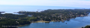 Get the Ultimate Vancouver Island Experience: Luxe Vacation Rentals with Spa Services in Ucluelet