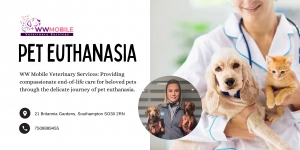 Examining Your Options for Pet Euthanasia | WW Mobile Veterinary Services