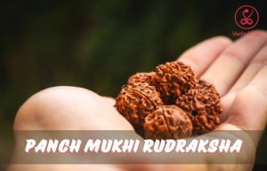 Panch Mukhi Rudraksha: A Powerful Tool for Meditation