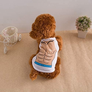 Bring Your Pup's Style: Premium Dog Clothes and Outfits at Petsary!