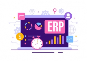 Why Ebslon Infotech is Your Best Choice for ERP Software Development?