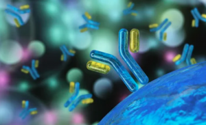 Antibody Discovery Market Size, Share, Growth, Analysis Forecast 2030 