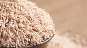 How Organic Rice Protein Leaders Are Redefining Sustainable Nutrition