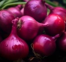 Unveiling Maharashtra's Premier Fresh Red Onion Suppliers