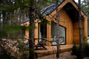 The Cozy Cabin Aesthetic: Creating Warmth and Comfort in Wooden Homes