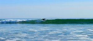 Why Ucluelet and Tofino are the Must-Visit Vacation Rental Destinations of the Year!