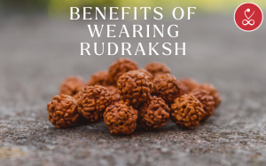 Benefits of Wearing Rudraksha Beads: Unlocking Their Mystical Power