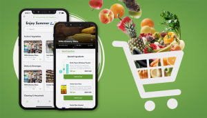Strategies for Creating Profit-Bearing Online Grocery Delivery Business