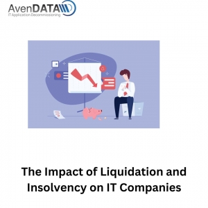 The Impact of Liquidation and Insolvency on IT Companies