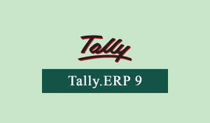 The Ultimate Guide to Customizing Reports in Tally ERP 9