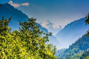 The Gift of Hospitality: How Homestays Can Change Your Perspective on Travel
