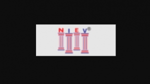 Fluency Unleashed: NIEV Education's English Institute