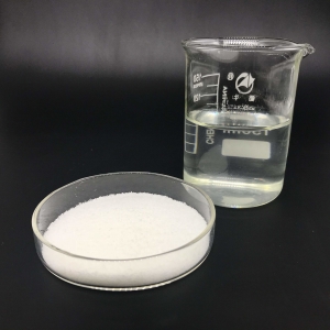 Polyacrylamide Market Dynamics: Growth Drivers and Challenges