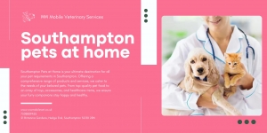 A Guide to Southampton Pets at Home | WW Mobile Veterinary Services