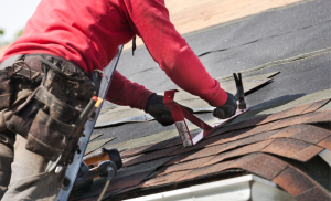 how to find  a roof inspector