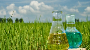 Agrochemicals Market Outlook: Growth and Opportunities