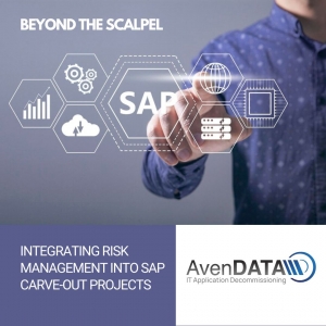 Beyond the Scalpel: Integrating Risk Management into SAP Carve-out Projects