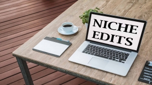 Unlocking Success: Dive into the World of Cheap Niche Edit Links