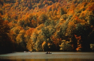 Autumn kashmir
