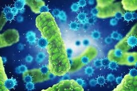 Europe Molecular Diagnostics for Infectious Disease Market Forecast, Size, Competitive Analysis till 2028