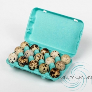 A Sea of Eggs: Diving into the Egg Case Stock with Chicken Cages